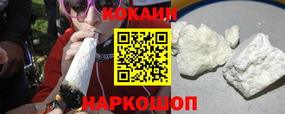 ГАШ Гатчина