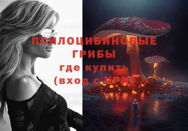 ПСИЛОЦИБИНОВЫЕ ГРИБЫ Белоозёрский