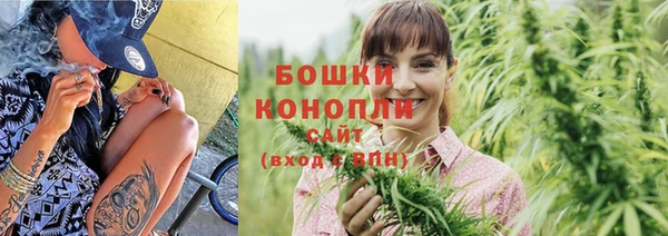 ПСИЛОЦИБИНОВЫЕ ГРИБЫ Белоозёрский