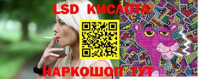 PSILOCYBIN Бугуруслан