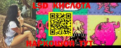 PSILOCYBIN Бугуруслан