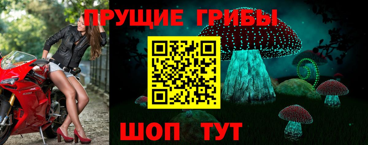 Псилоцибиновые грибы Magic Shrooms Гатчина