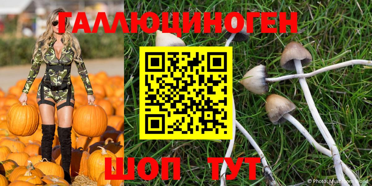 Галлюциногенные грибы MAGIC MUSHROOMS  Гатчина 