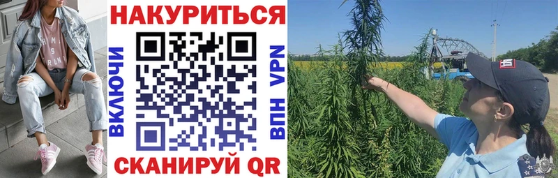 OMG вход  Гатчина  Бошки Шишки сатива 